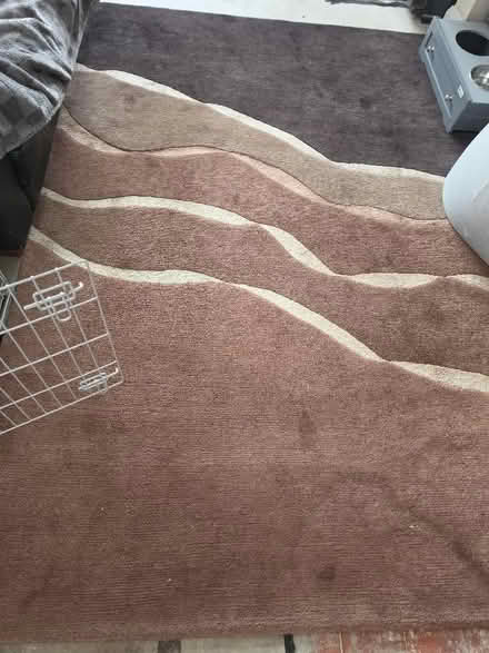 Photo of free Large rug (Arnold NG5) #1