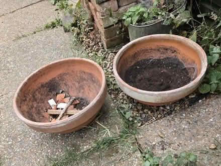 Photo of free Bulb planting pots (Aldrington BN3) #1