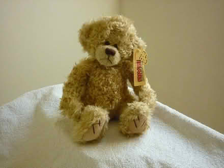 Photo of free Teddy Bear (Blagdon BS40) #1