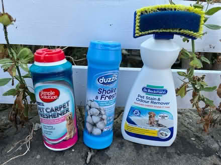 Photo of free Pet Carpet Cleaners (CH45) #1
