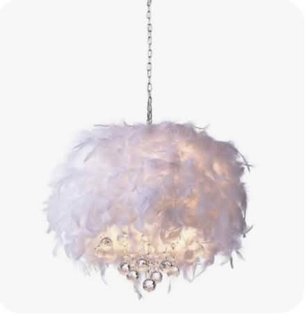 Photo of free Feather chandelier (Red Bank) #2