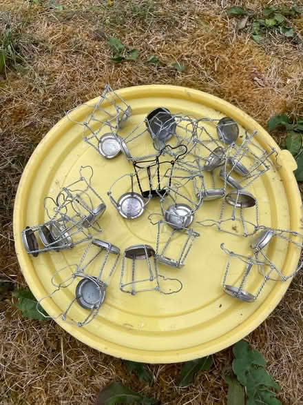 Photo of free Wine Making equipment (Norwich Nr4) #1