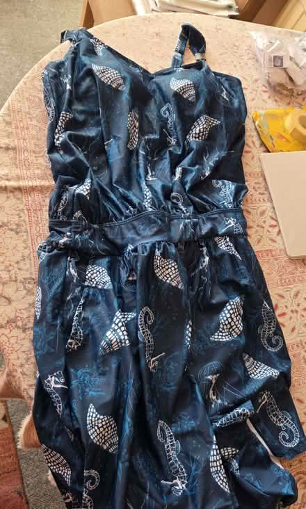 Photo of free Women's plus size swimming costume (Higham Hill E17) #1