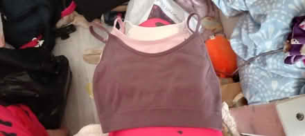 Photo of free Xs bralettes (Tudeley TN11) #1