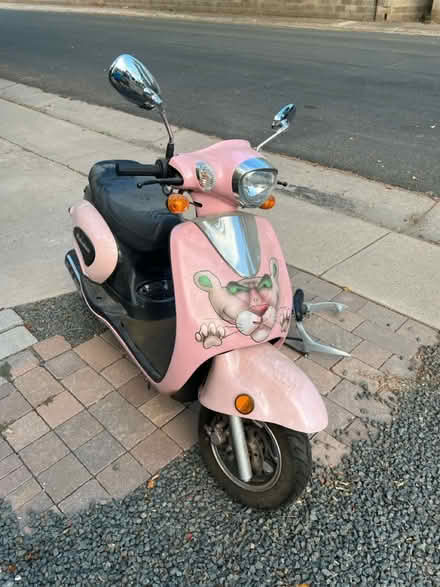 Photo of free Schwinn Pink Panther Custom Scooter (Englewood) #1