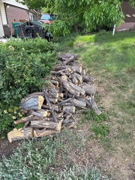 Photo of free Firewood (near 60th & Sheridan) #1
