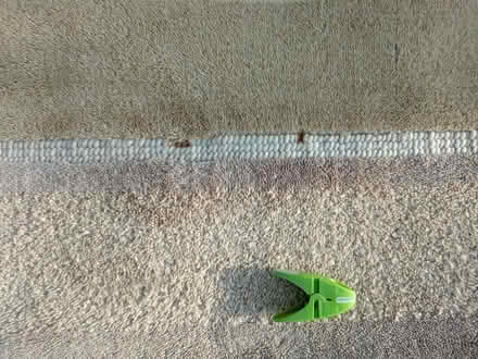 Photo of free Green/Beige rug (Nailwell BA2) #3