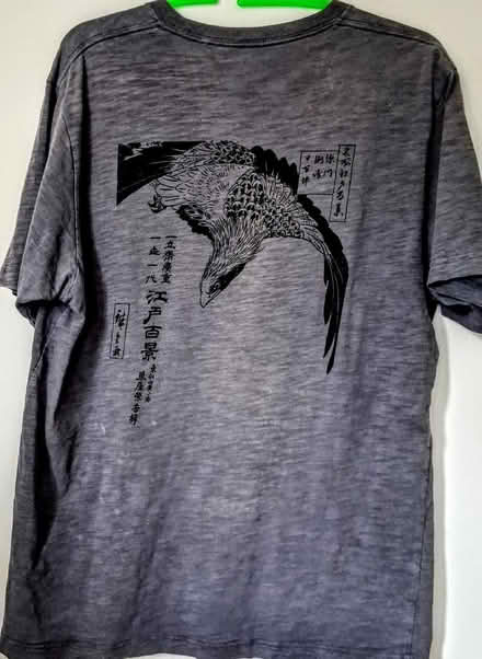 Photo of free Men's T.shirt (Bellevue EH7) #2