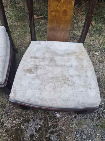 Photo of free Large dining table +6 chairs (Buxted TN22) #4