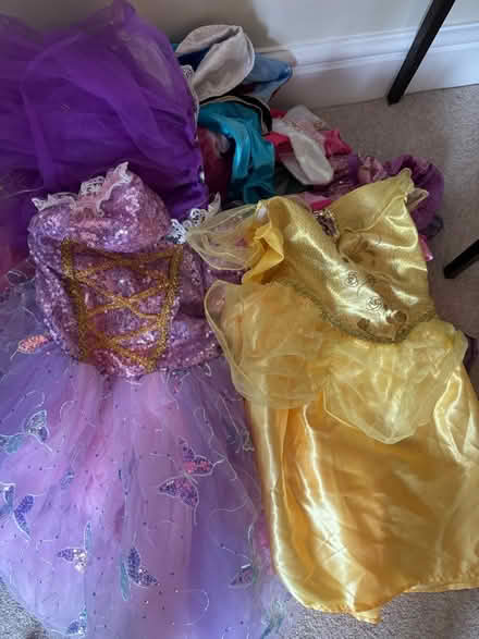 Photo of free Various Disney Princess dresses - Age from about 4-7 years (Hallatrow BS39) #2