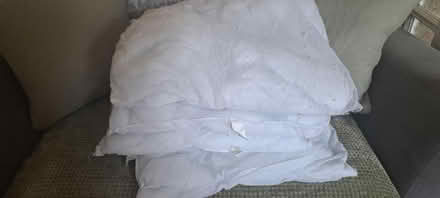 Photo of free 50x50 cushion inserts (Fallin FK7) #2