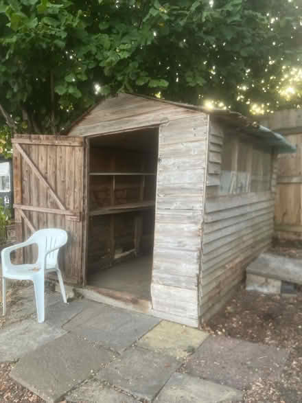 Photo of free Rustic shed (Belle vue Shrewsbury SY3) #4