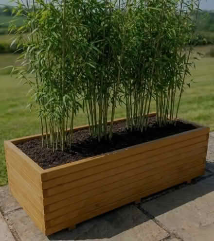 Photo of Wooden garden planter (Croydon) #1
