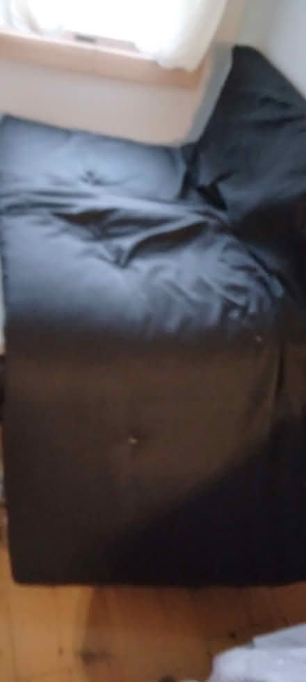 Photo of free 2018 Futon Sofa Seat Cushion (Hyde Park, near Greenfields) #1