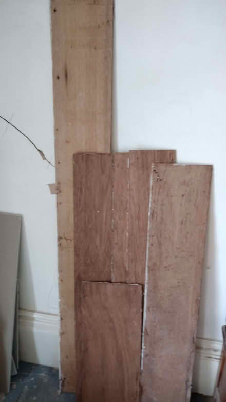 Photo of free Plywood scraps (West Marina TN38) #1