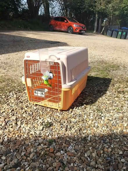 Photo of free Small dog or cat cage (Landford) #1