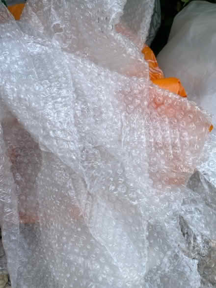 Photo of free Bubble wrap (Summertown OX2) #1