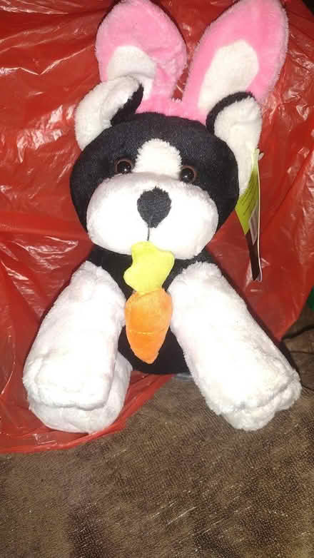 Photo of free Easter Dog Plushies (Harlem) #1