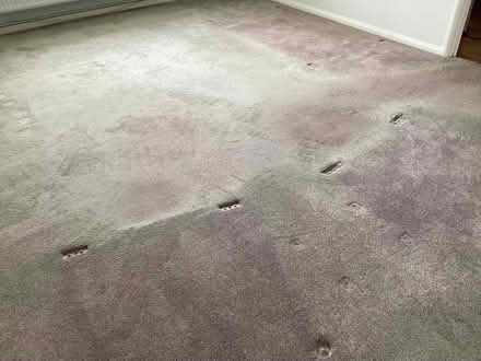 Photo of free Carpet (Castle Donington DE74) #3