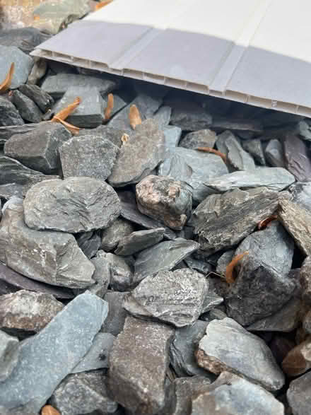 Photo of free PVC cladding (Gleadless S12.) #2