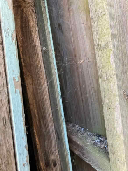 Photo of free Part of a shed (Steyning BN44 3) #3