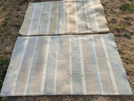 Photo of free Green/Beige rug (Nailwell BA2) #4
