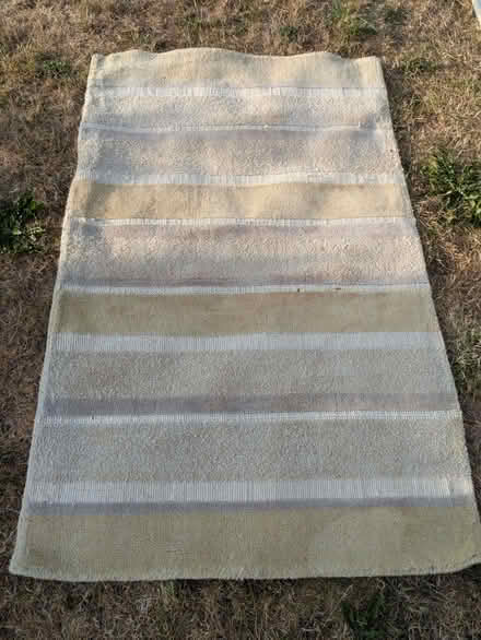 Photo of free Green/Beige rug (Nailwell BA2) #1