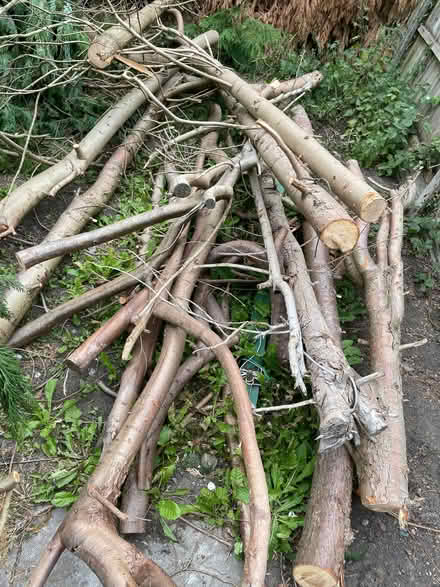 Photo of free Logs (Chorley Moor PR7) #1