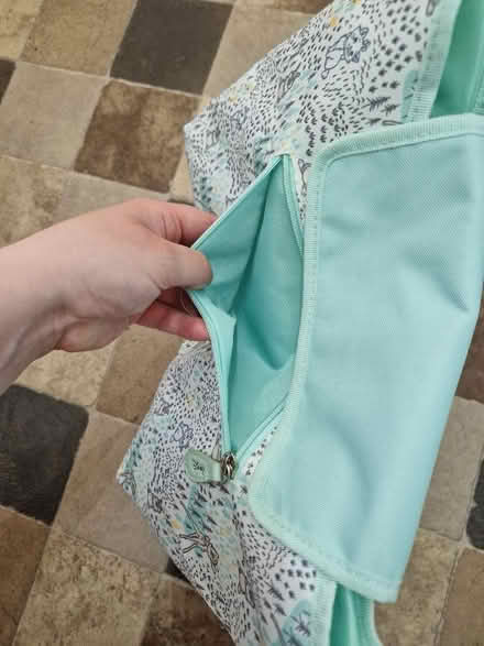 Photo of free Disney stroller organiser (Wildridings RG12) #2