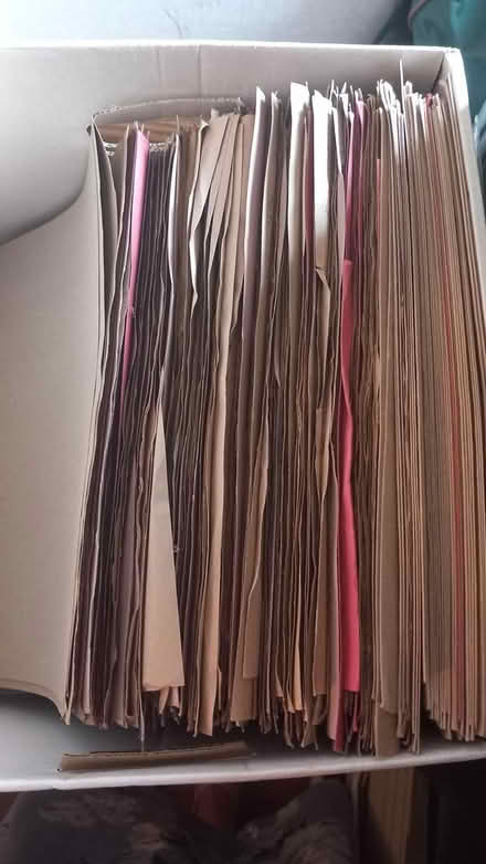 Photo of free Buff Folders - used About 100 (Felpham PO22) #1