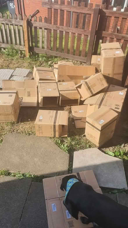 Photo of free Boxes (Haughton Green M34) #1