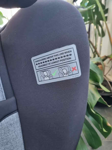 Photo of free Child car seat (New Lambton Newcastle NSW) #3