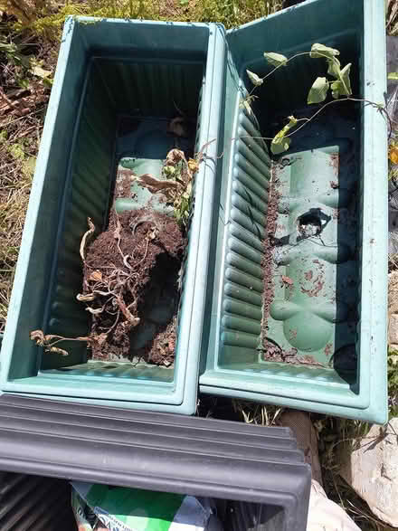 Photo of free Plant pots (LE3 area) #2