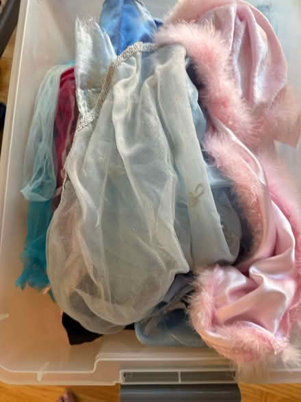 Photo of free Little girls dress up dresses (Santana row) #2