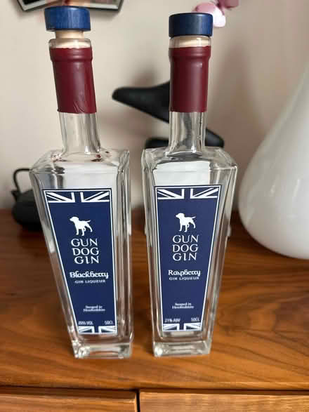 Photo of free Empty gin bottles (LS29 ilkley) #1
