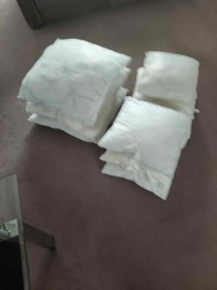 Photo of free Cushion pads (Buckhurst hill IG9) #1