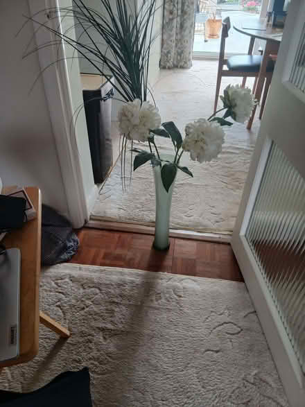 Photo of free Tall Glass Vase (Walton HP21) #1