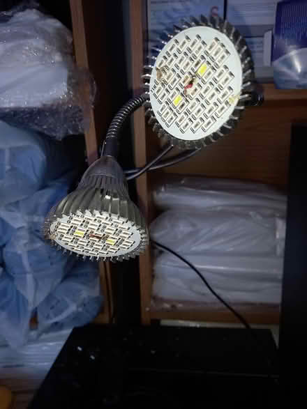 Photo of free Crocodile clip light (Shepshed LE12) #1