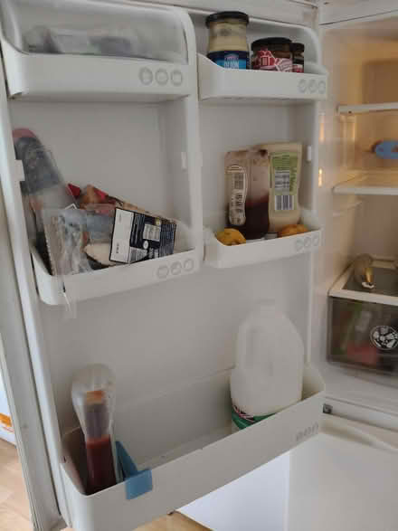 Photo of free Fridge freezer (Richmond TW9) #3