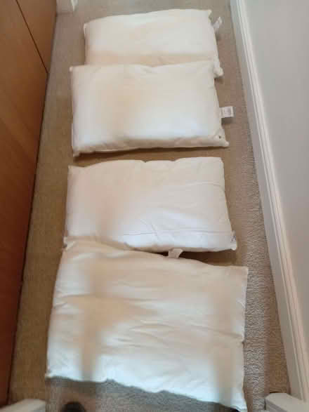 Photo of free 4 washable pillows (Sutton BD20) #1