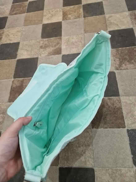 Photo of free Disney stroller organiser (Wildridings RG12) #3
