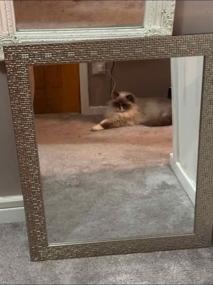 Photo of free Silver framed mirror (Seaforth L21) #1