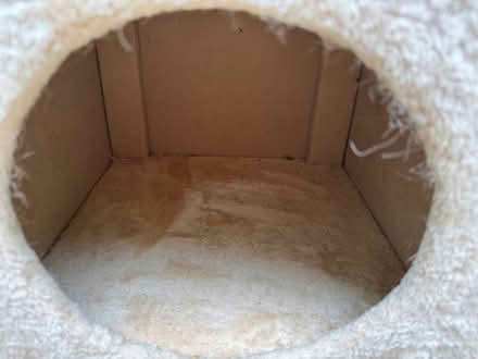 Photo of free Used Cat Scratching Tree (Ballybrack Village) #3