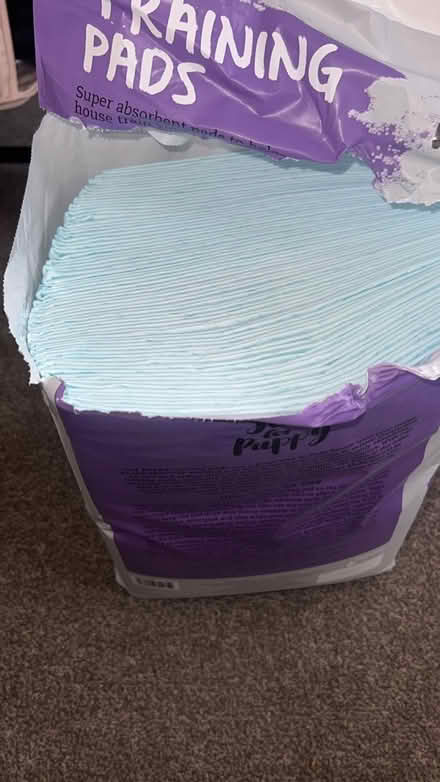 Photo of free Puppy pads (Waltham cross EN8) #3