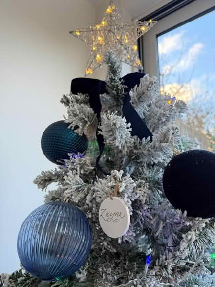 Photo of free Christmas tree with decorations (Fryent NW9) #3