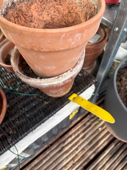 Photo of free Small terracotta pots (Vauxhall) #1