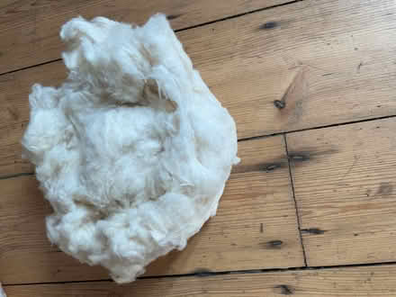 Photo of free Bag of raw Cotton for many uses including soft toy filling (West Didsbury M20) #2