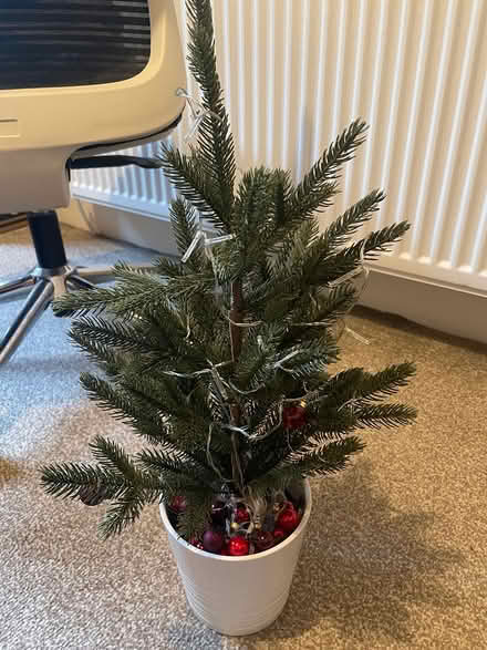 Photo of free Small plastic Christmas Tree (Stockbridge Edinburgh) #1