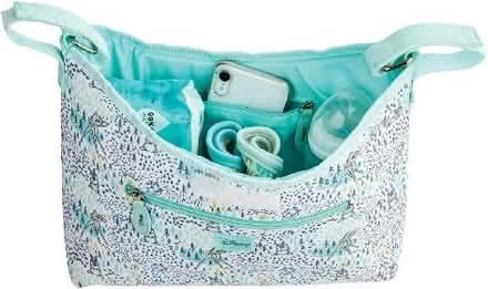 Photo of free Disney stroller organiser (Wildridings RG12) #4