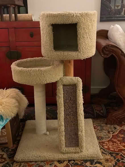Photo of free Cat tree (Emeryville) #1